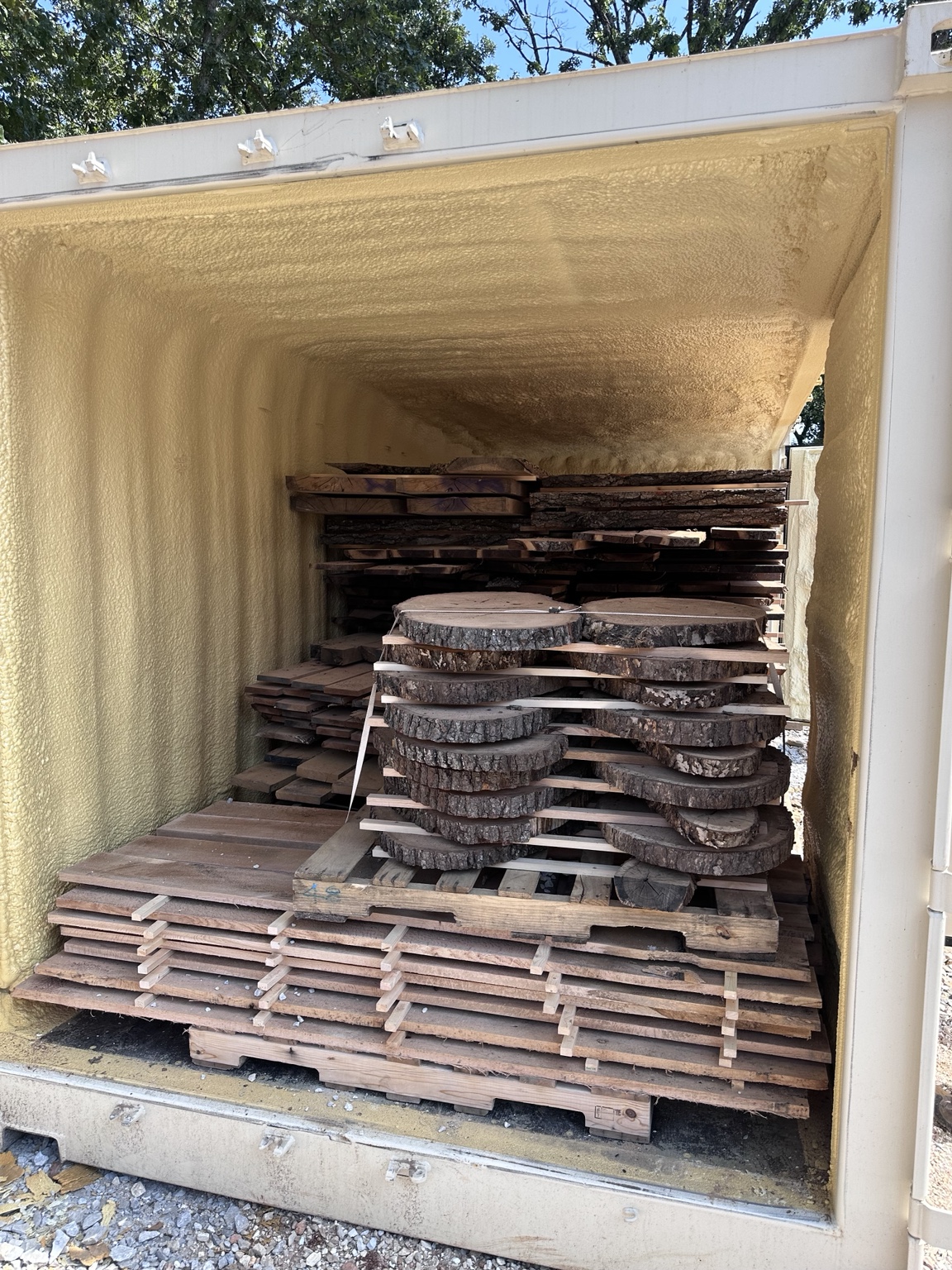 Rainy Creek walnut slabs and rounds stickered inside the kiln